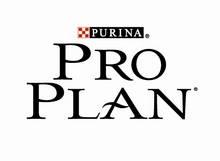 Pro plan