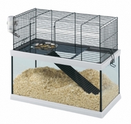 Kooien gerbils/degu's