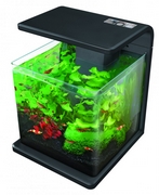 Superfish aquariums