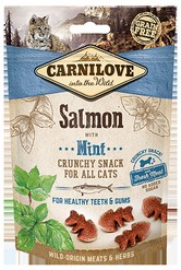 carnilove zalm snack kat 50g