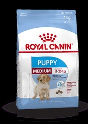 Medium puppy 4kg