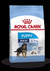 Maxi puppy 4kg