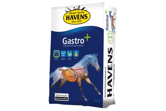 gastro + 25kg