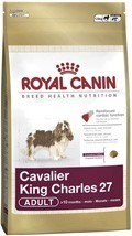 Cavalier king charles 7,5kg