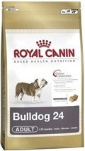 Bulldog adult 12kg