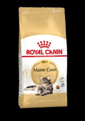 Maine coon 400g.