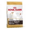 Jack russel 1,5kg