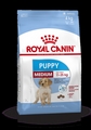 Medium puppy 4kg