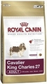 Cavalier king charles 1,5kg