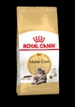 Maine coon 400g.