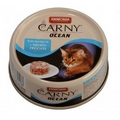 Carny ocean tonijn-zeevrucht 80g.